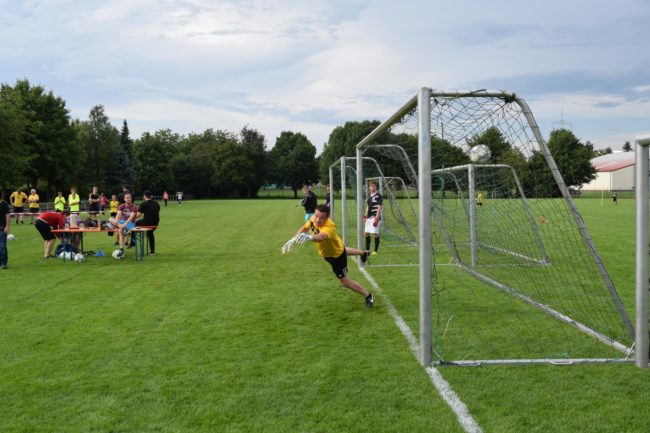 Elfercup